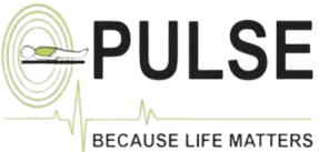 Pulse